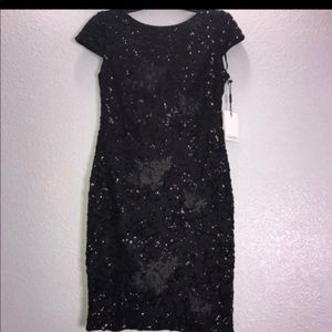 Calvin Klein Women Sequin Short Sleeves Dress New
